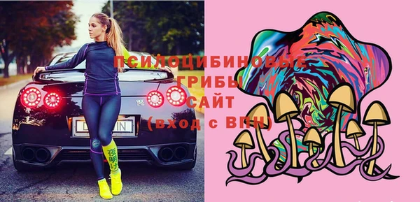 ПСИЛОЦИБИНОВЫЕ ГРИБЫ Бородино