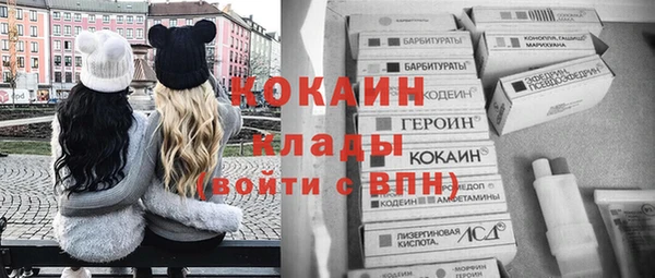 МДПВ Бронницы