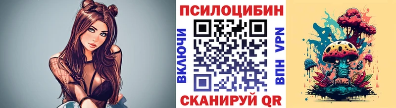 цены наркотик  Ворсма  Псилоцибиновые грибы Psilocybe 